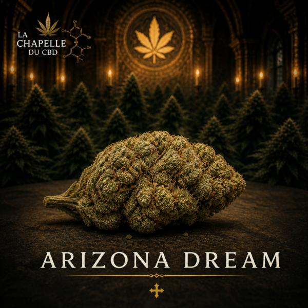 Arizona Dream